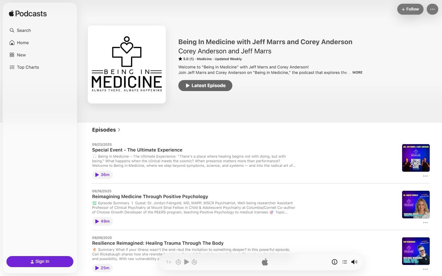 Being in Medicine detail
