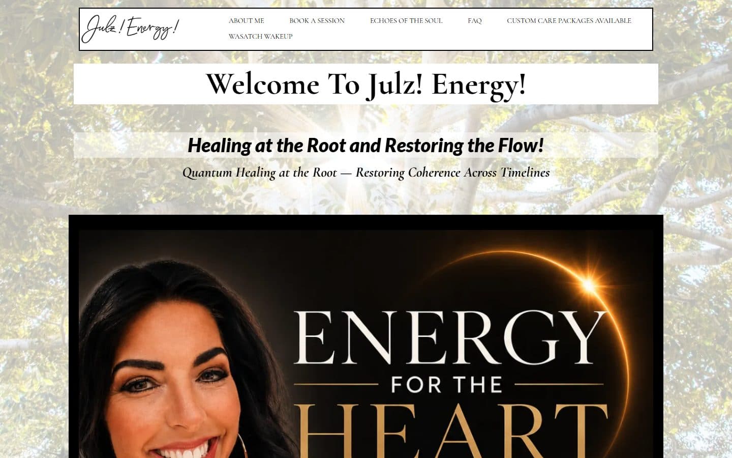Julz Energy AI Training screenshot